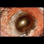 Jewel Volcano 9 x9 9 in (detail).jpg